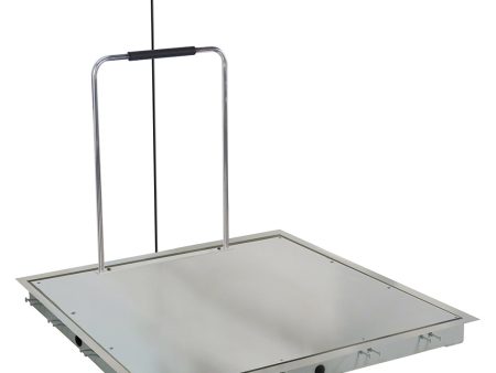 Detecto Solace Stainless Steel Dialysis Scale with Printer and Hand Rail - 48  x 48  Online