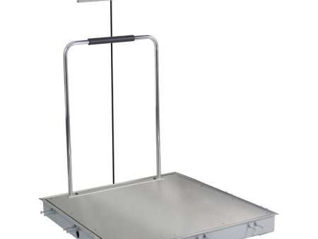 Detecto Solace Stainless Steel Dialysis Scale with Printer and Hand Rail - 36  x 36  Discount