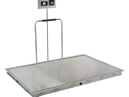 Detecto Solace Stainless Steel Dialysis Scale with Printer and Hand Rail - 72  x 48  Online Hot Sale